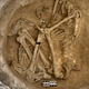 This headless adult female was buried at Çatalhöyük with her unborn fetus (indicated by black arrow at center). Skull removal prior to burial was a common funeral practice in the region at the time.